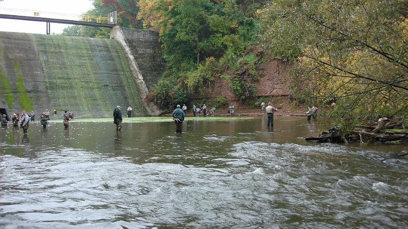 Burt at the Dam2.JPG